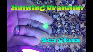 Discovering Rare Uranium Glass: Sea Glass Hunt with UV Torch at Dusk