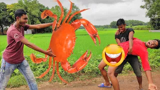 Must Watch Comedy Video 2020 | Try Not To Laugh Crab Special _ Famous Emon