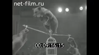 1981г. Саратов. медвежий цирк