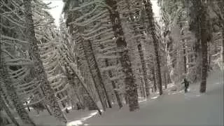 ONLY FOREST Freeride 2015 Kopaonik