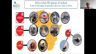 NatureSpeaks (Episode 11): YES WE CAN – RESTORING VULTURE POPULATIONS IN EUROPE