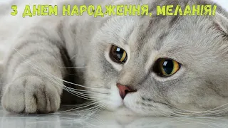 З Днем народження, Меланія! (Котики)