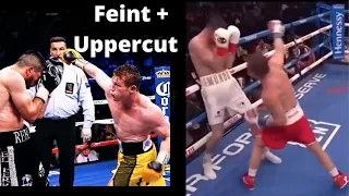 CANELO USING THE SAME MOVE ON DIFFERENT OPPONENTS               (FEINT + UPPERCUT)