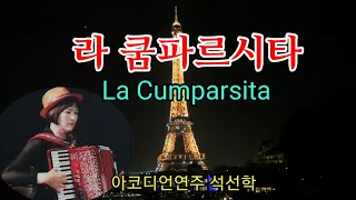 #라쿰파르시타( La Cumparsita) #Tango #아코디언연주 석선학