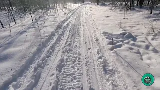 Спуск на лыжах с хребта Шуеда (встреча с волком)