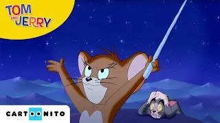 Tom & Jerry auf wilder Jagd | Eisiger Kampf um den Fisch | Cartoonito