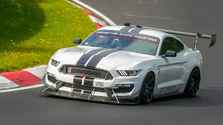 Best of FORD MUSTANG on the Nürburgring! Mustang GT, Cobra, Shelby, Mach1 etc on the Nordschleife