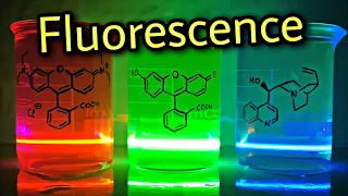 🧪 Fluorescence