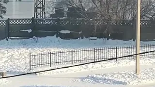Ангарск. Заливка катка "Гелентвагеном"(январь 2019)