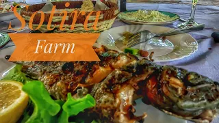 Third time in Albania. sotira farm one day relaxing and food experience