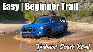 Easy | Fun | Beginner Trail in Orange County - Trabuco Creek Road (Holy Jim Trail)