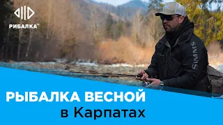 Рыбалка в Карпатах (анонс) — Всемирная рыбалка // Телеканал "Рыбалка"