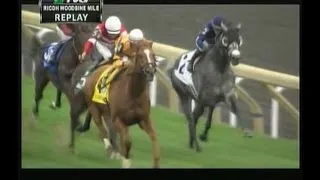 2013 Woodbine Mile - Wise Dan