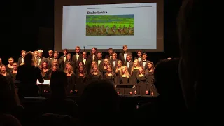 2019 - Moorhead High Chorale - "Balleilakka"