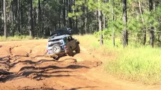 hilux surf