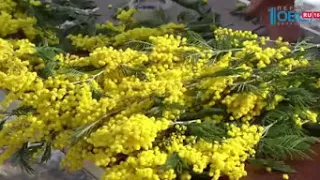Продавцы цветов готовятся к 8 Марта