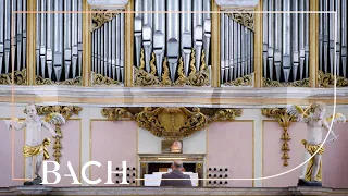 Bach - Fugue in C minor BWV 575 - Wiersinga | Netherlands Bach Society