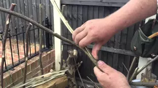 How to split hazel rods