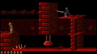 Prince of Persia (SNES). Tricks gone away Level 5