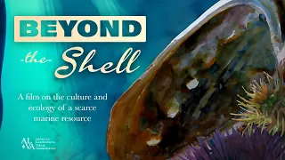 Beyond the Shell