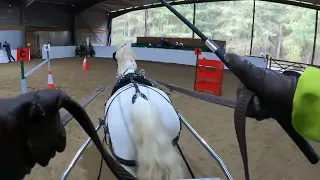 The fastest pony in West Norfolk, indoor driving.