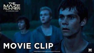 The Maze Runner [Movie Clip "HIDE" in HD (1080p)]