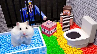 🔴 AMAZING Hamster Challenges ♦ Hamster Conquers DIFFICULT Obstacle Course Maze for Pets 🌟