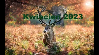 KWIECIEŃ 2023 r. Wszystkie znaki zodiaku. Tarot - prognoza ogólna 🌞🔥