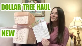 NEW DOLLAR TREE HAUL *NEW ITEMS*