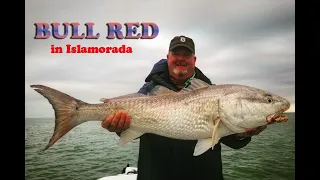 Mike's monster black drum & big red drum fishing in the islamorada backcountry in the  everglades!