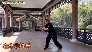 Southern Dragon Style 16 Movements Form