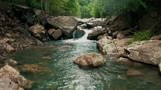 NATURE 4k • Scenic relaxation film • Calming Acoustic guitar • Ultra HD