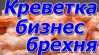 Поговорим : креветка - бизнес брехня, отвечаю !