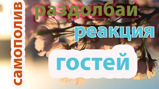 Реакция гостей на мой ДОМ. Цветы померзли! Ну вот и старость пришла