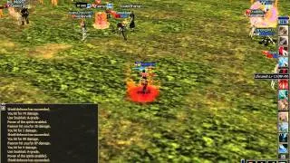 Lineage II C3 Warefare SwSvsSK