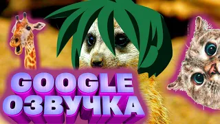 СМЕШНАЯ GOOGLE ОЗВУЧКА / ГУГЛ ОЗВУЧКА / СМЕШНАЯ ОЗВУЧКА ЖИВОТНЫХ РОБОТОВ / ПРИКОЛЫ / РЖАЧ #17