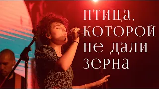 Васса Железнова – Птица, которой не дали зерна (Live @ Aglomerat)