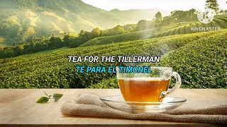 Cat Stevens - Tea for the Tillerman subtitulada en Español/Inglés