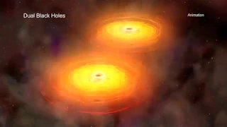 A Tour of Dual Black Holes
