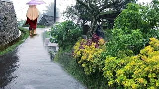 Heavy rain in beautiful Flower Village|| cools the eyes|| Indonesian village atmosphere