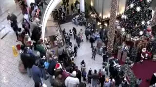 Flash Mob Christmas Carol at Mall - MUST SEE!