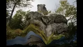 Амурские столбы. Владимир Комаров.