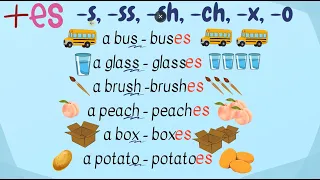 Plural nouns. Англійська мова. Множина іменників