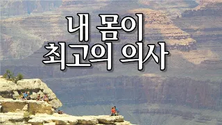 내 몸이 최고의 의사다