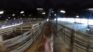 Kentucky Stockyards Pen Rider 360 Degrees