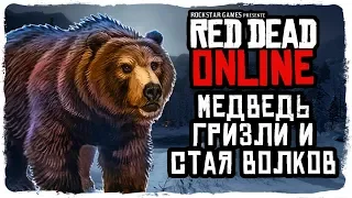 МЕДВЕДЬ ГРИЗЛИ И ВОЛКИ! СНЕГА В АМБАРИНО! ➥ Red Dead Online #3 [PC][2K]