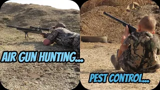 Airgun hunting {{{ STARLING PEST CONTROL}}}