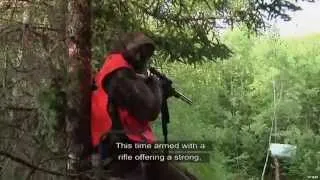 Hunting Black Bear in Quebec