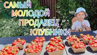 Бесконечная торговля клубникой. Сбыт ягоды туристам. Дети путешествуют по джунглям и водопадам.