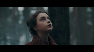 Silent Forest - Cinematic Footage Shot on Blackmagic Pocket Cinema Camera 4K (BMPCC 4K)